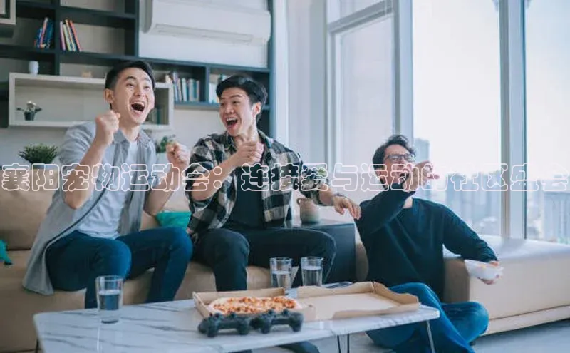 襄阳宠物运动会：连接爱与运动的社区盛会