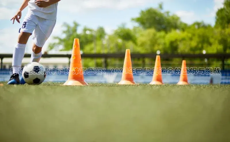 奥林匹克精神下的体育盛宴：2024年巴黎奥运会的盛况与挑战