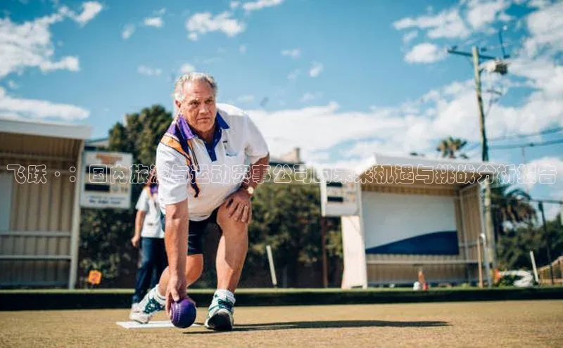 飞跃·：国内旅游与运动赛事公司的未来机遇与挑战分析报告