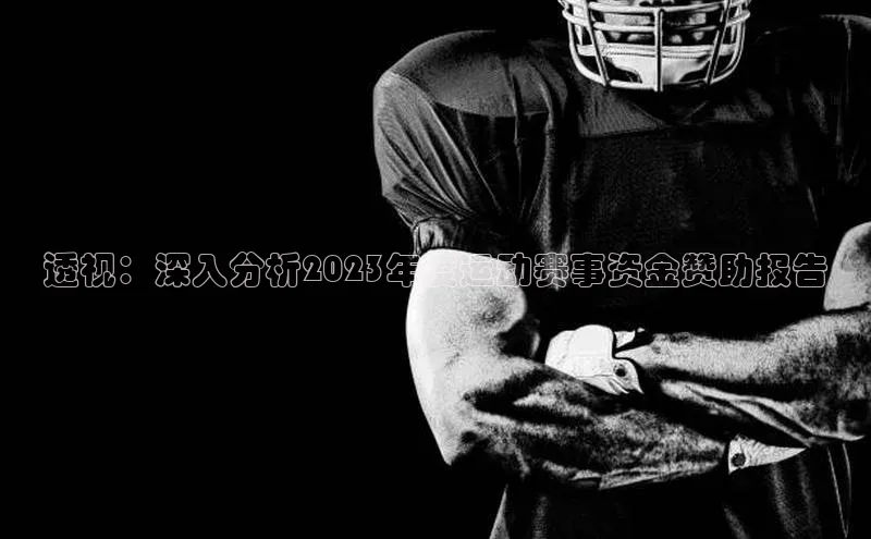 透视：深入分析2023年度运动赛事资金赞助报告
