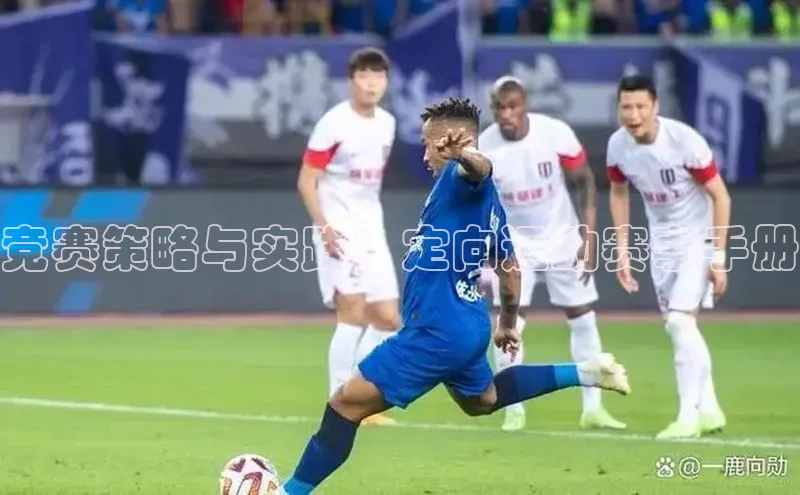 竞赛策略与实践：定向运动赛事手册