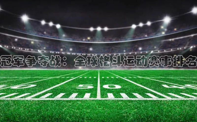 冠军争夺战：全球格斗运动赛事排名