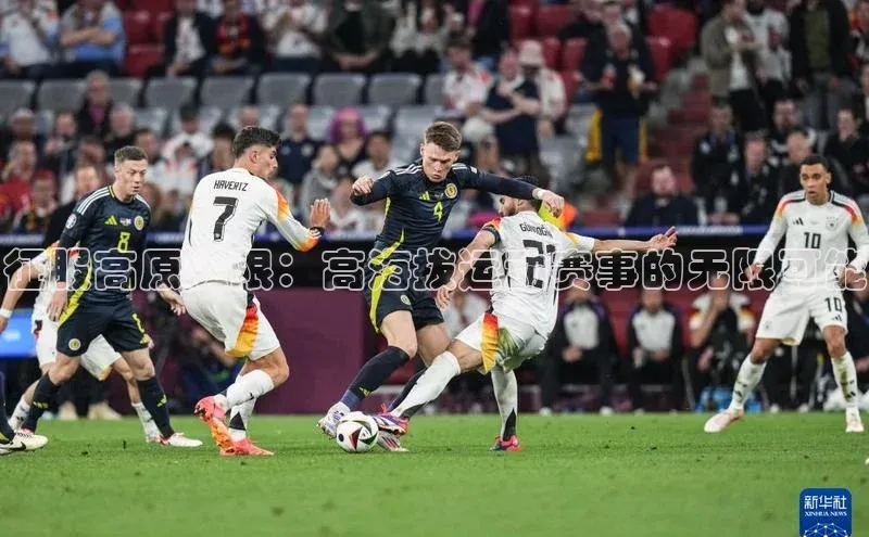 征服高原极限：高海拔运动赛事的无限可能