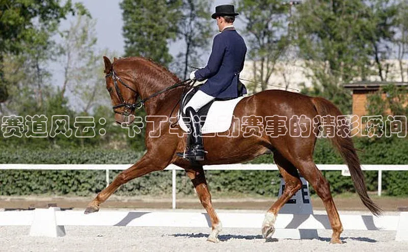 赛道风云：卡丁车运动赛事的精彩瞬间