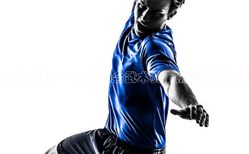 齐鲁雄风：山东运动会武术赛事精彩瞬间回顾