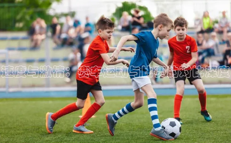 速度与激情：赛车运动与比赛的对比深度