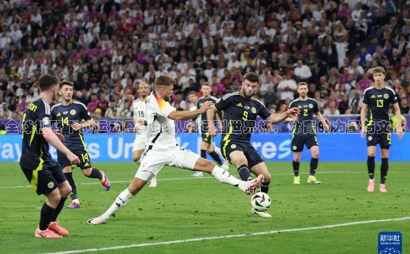 k1体育在线网站