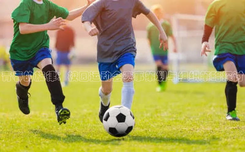 k1体育平台官网