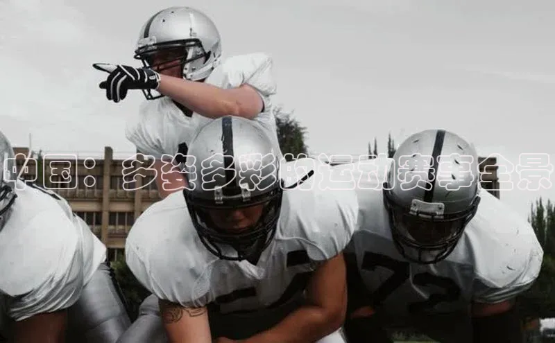 k1体育娱乐平台下载官网