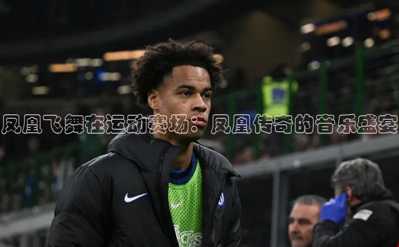 凤凰飞舞在运动赛场：凤凰传奇的音乐盛宴