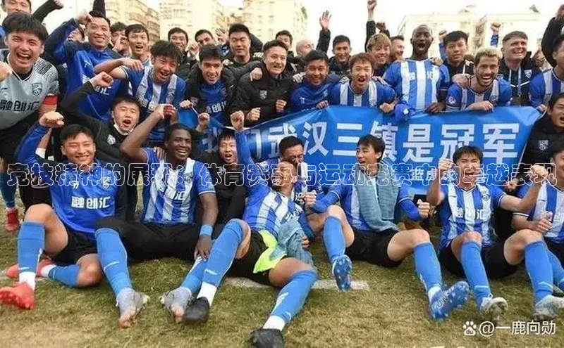 竞技精神的展现：体育赛事与运动竞赛中的卓越表现