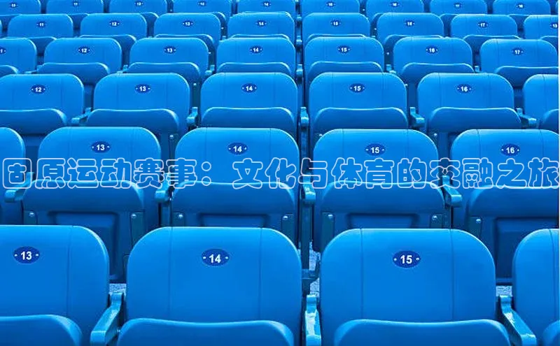 固原运动赛事：文化与体育的交融之旅